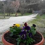 La Casa Di Eva