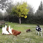 La Casa Di Eva