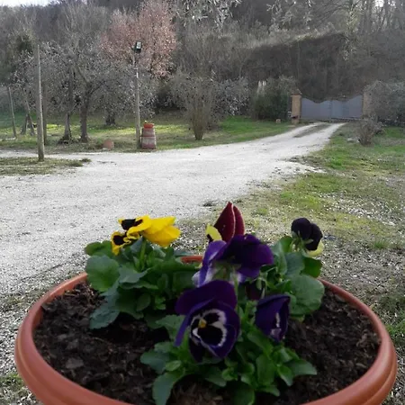 La Casa Di Eva