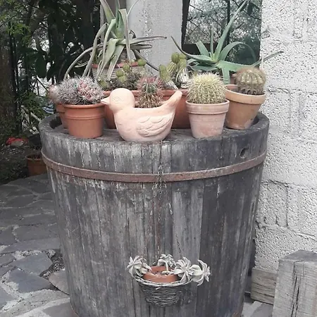 Villa La Casa Di Eva Castel Viscardo