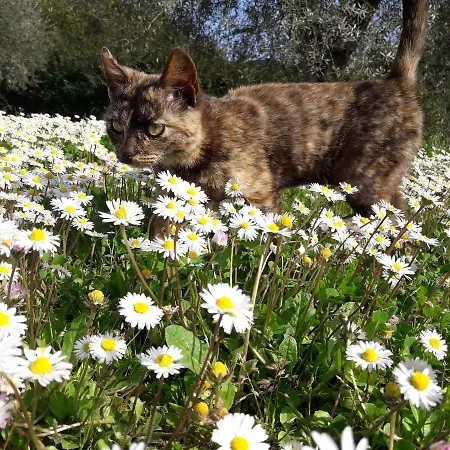 La Casa Di Eva * Castel Viscardo
