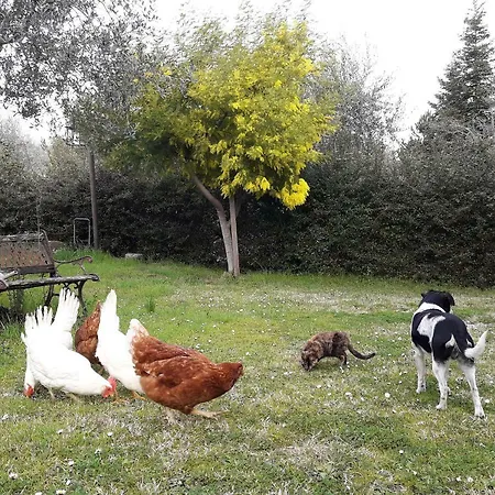 La Casa Di Eva