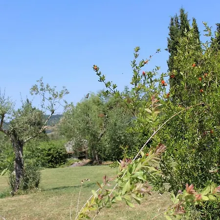 La Casa Di Eva Villa Castel Viscardo