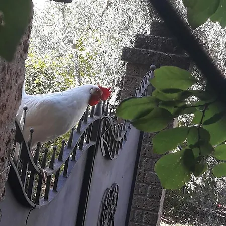 La Casa Di Eva Castel Viscardo