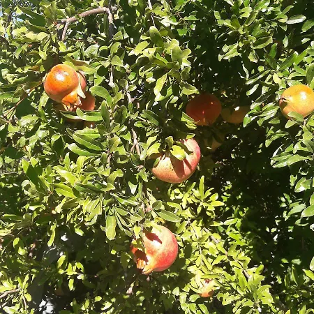 La Casa Di Eva Βίλα *