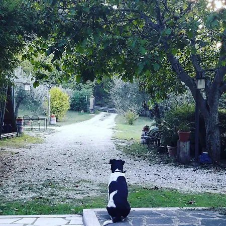 La Casa Di Eva Βίλα Castel Viscardo