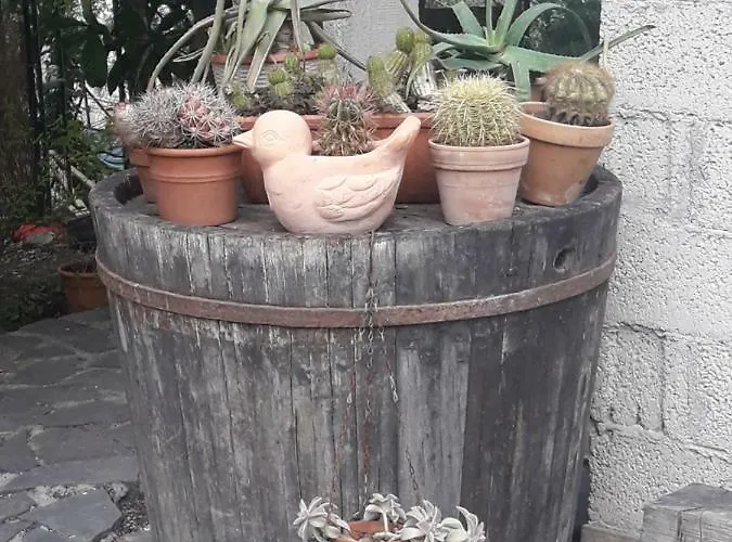 Villa La Casa Di Eva Castel Viscardo