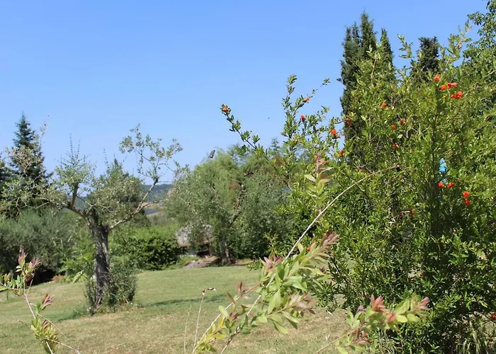 La Casa Di Eva Villa Castel Viscardo