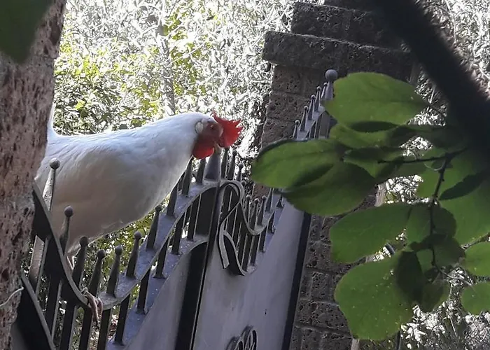 La Casa Di Eva Castel Viscardo