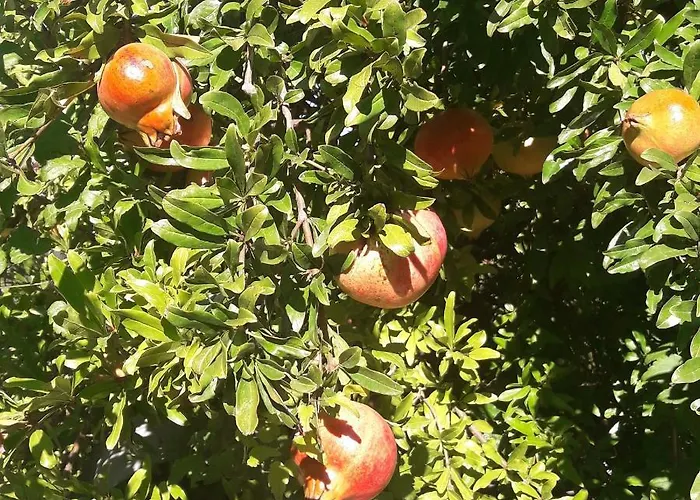 La Casa Di Eva Villa *