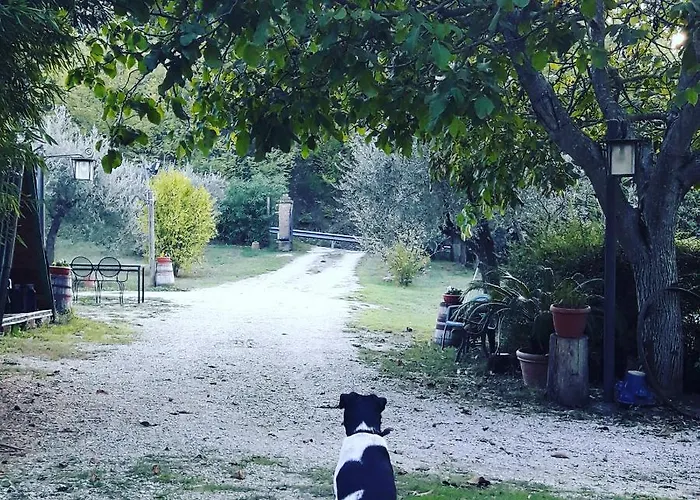 La Casa Di Eva Villa Castel Viscardo